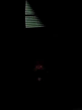 King_night1