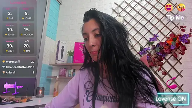 SALOME_KORLAND webcam