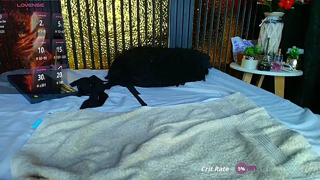 perfectmatch_ webcam