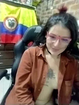 _Alaskamisa webcam