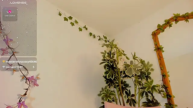 FaloonRoussel webcam