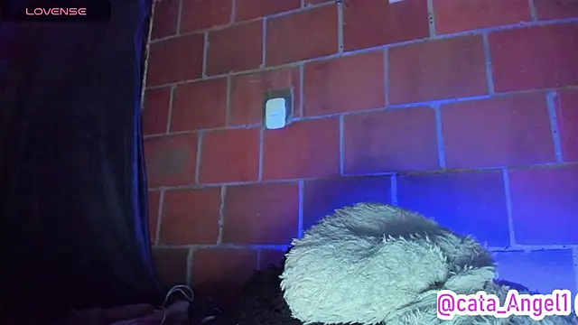 Cata-angel webcam