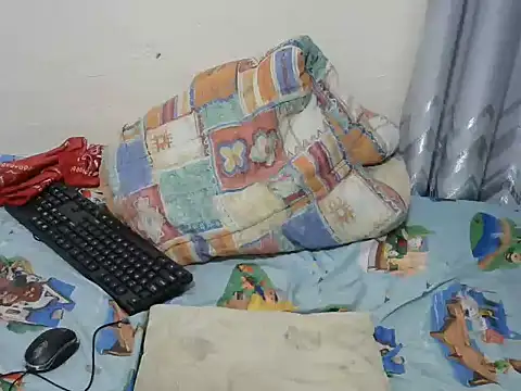 playfullnova webcam