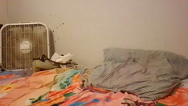 starlight1983 webcam