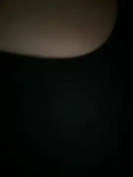 alana15