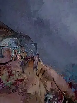 Biva11 webcam