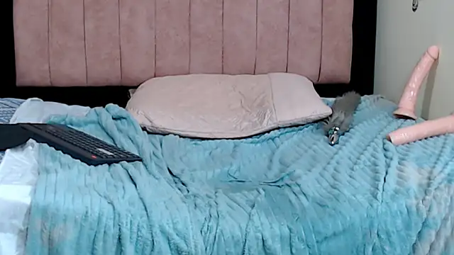VICTORYXS1 webcam