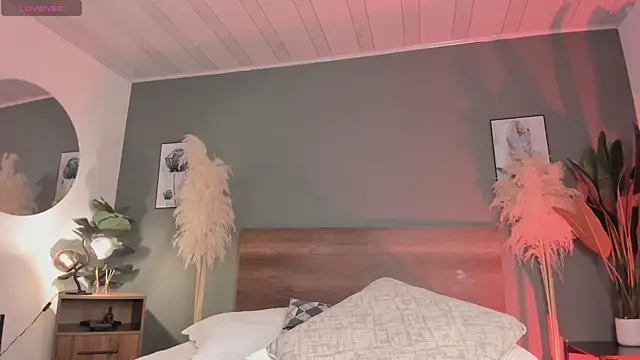 NovaaWheler webcam