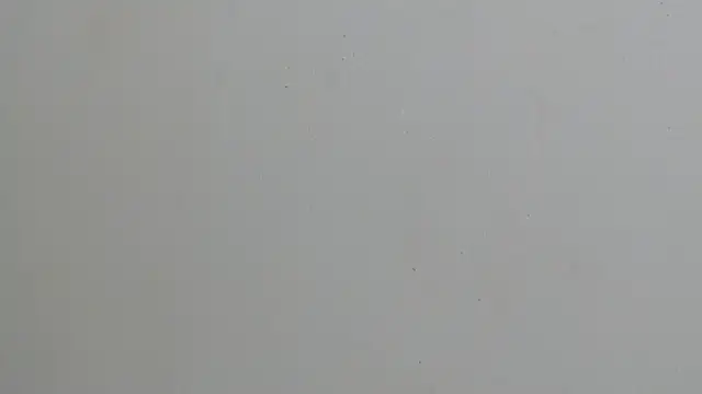 erikaskinny18 webcam