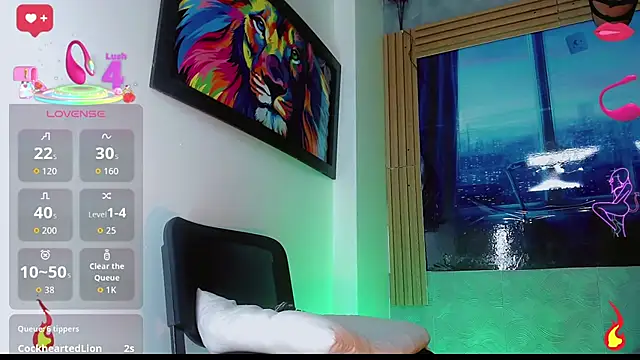 Deivelys webcam