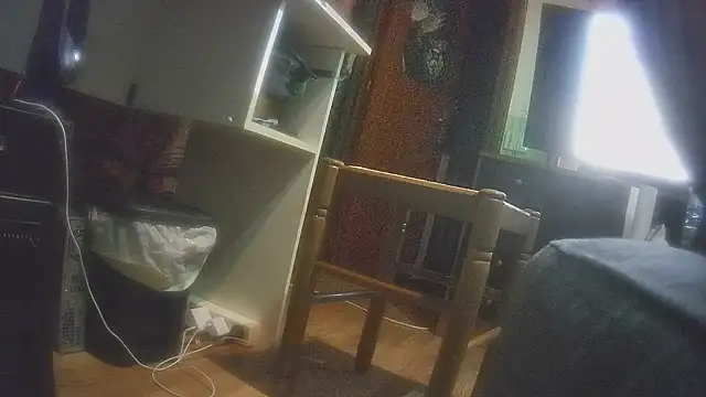 Dileilei webcam
