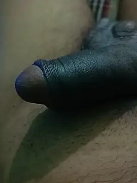 Raajaaryan webcam