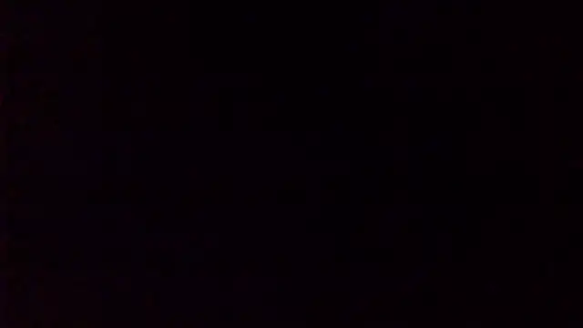 NuttyProfesir webcam