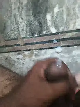 Chanderi19 webcam