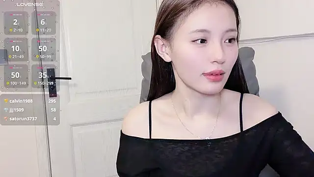 H-2005 webcam
