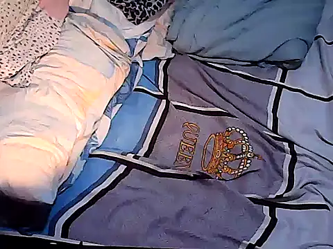 TsLibra webcam
