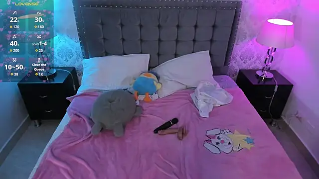 kitticam webcam