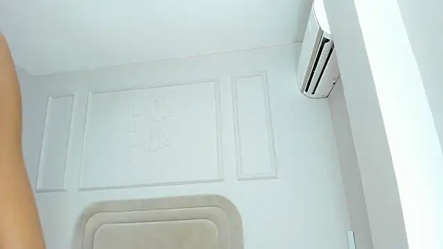 Liastarkk webcam