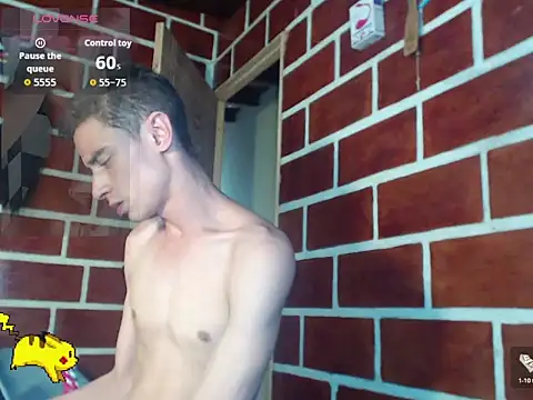 Steeve_Hard webcam