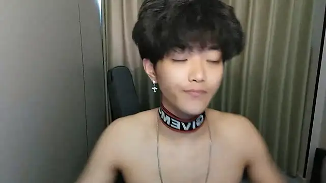 wssoo11 webcam