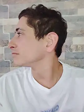 Tiger_cryad webcam