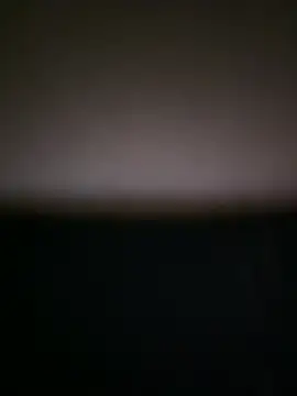 alana15