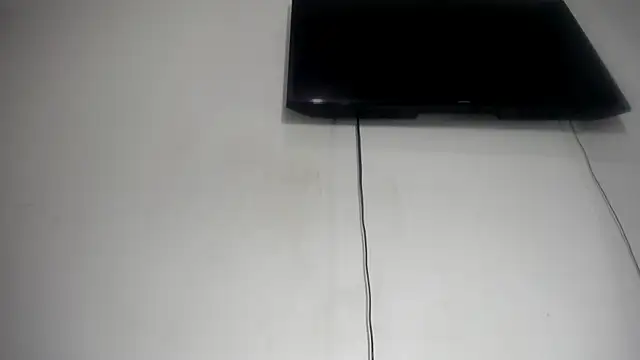 Fox_Loves webcam