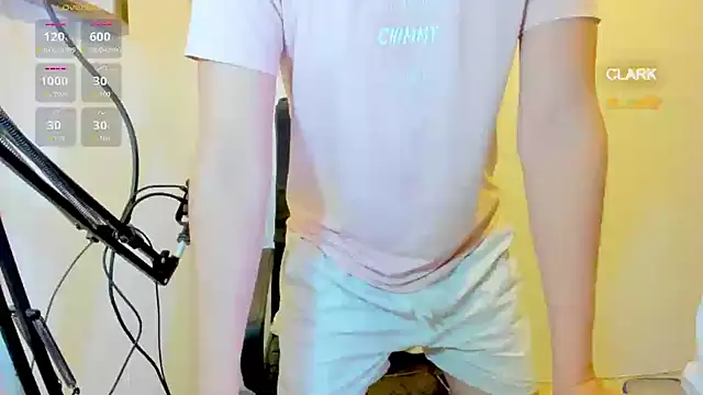clarkdangerous webcam