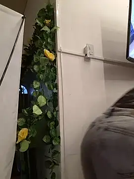 EmmaContreras_Val webcam
