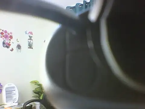 sheriiy webcam