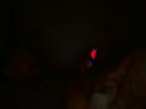 kaiilopeez webcam