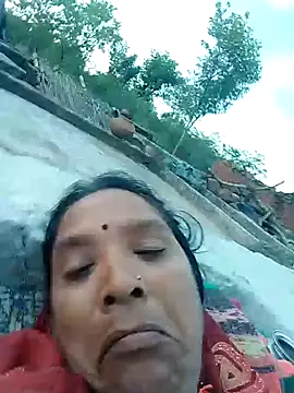 Loomaraj webcam