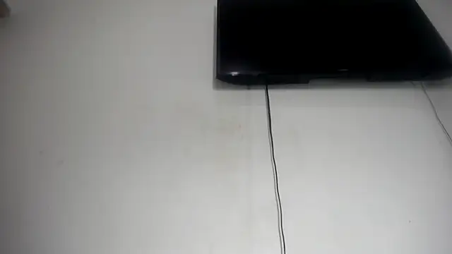 Fox_Loves