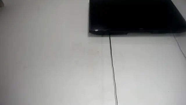 Fox_Loves