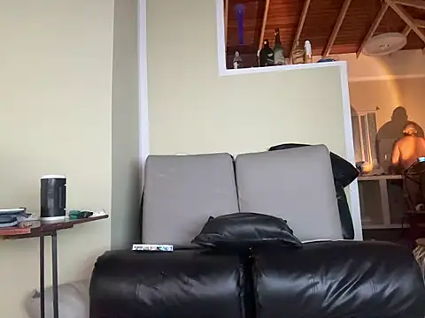 Neil_and_isaac webcam