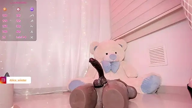 Alice_winter_ webcam