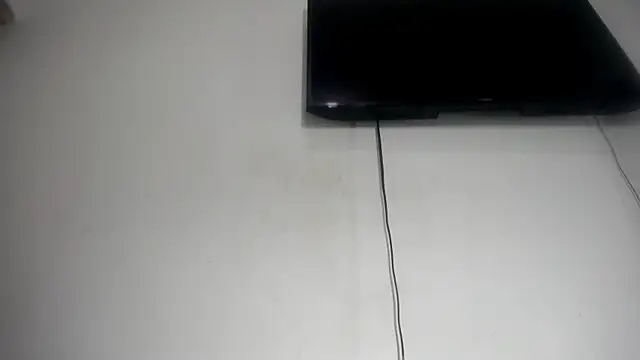 Fox_Loves