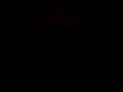 Rorolofo webcam