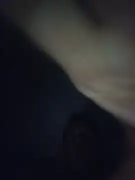 Nidge251 webcam