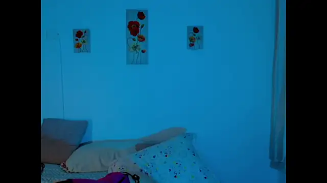 arianna_ros3 webcam