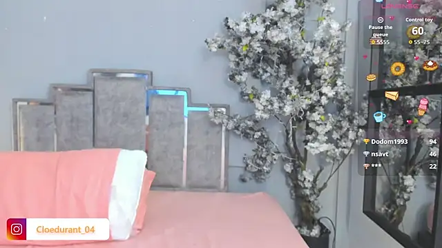 Cloedurant webcam