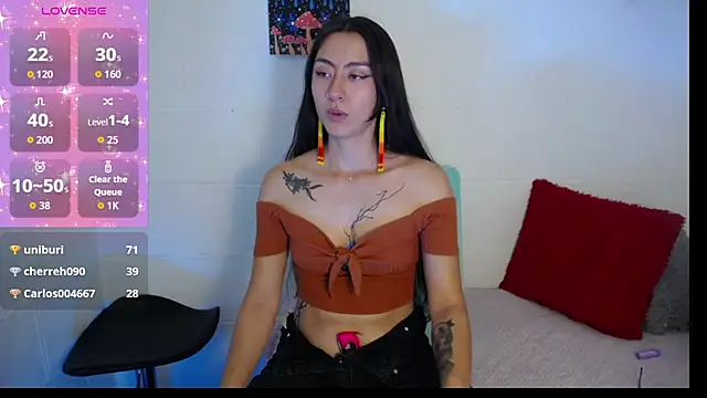 _IR1S_ webcam