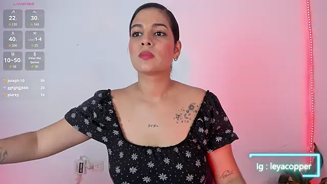 Leyacopper_ webcam
