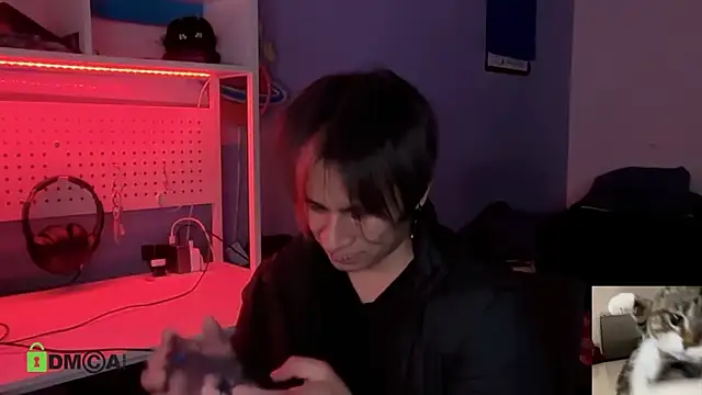NatryDark webcam