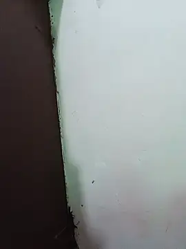 ShilpaSharma webcam