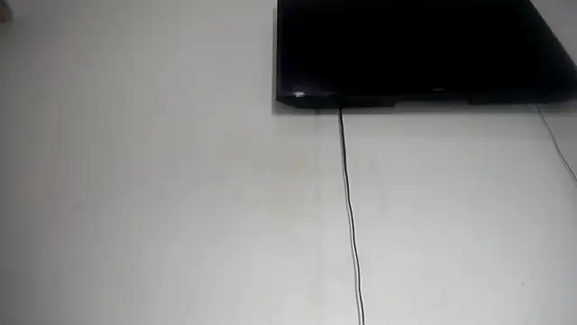 Fox_Loves