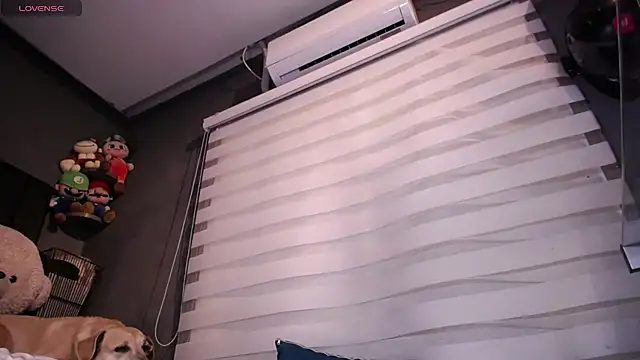 dirty_27cms webcam