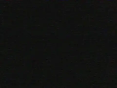 shugabaibe