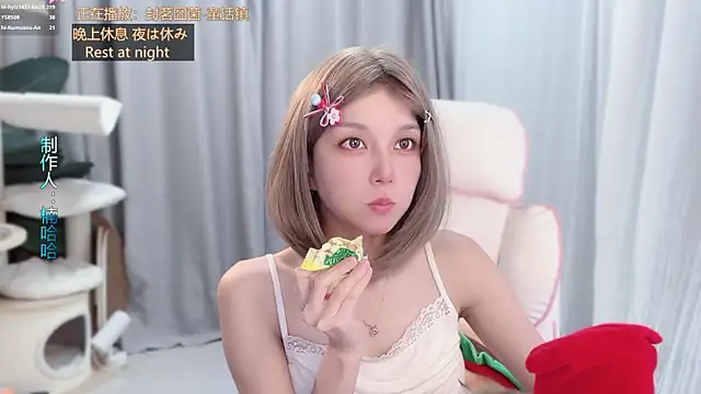 hi-AnAn webcam