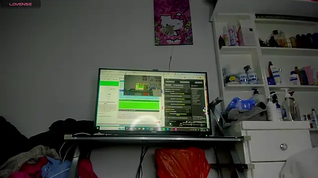 Pocahontas_d webcam